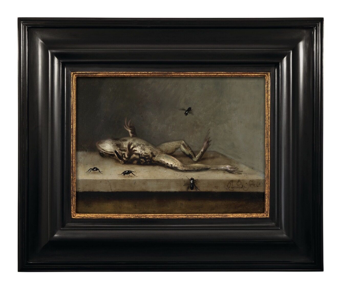 A small Dutch still life in a heavy black and gilt frame: a dead frog on a stone ledge, watched by flies.